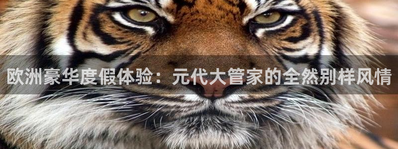 聚彩资料