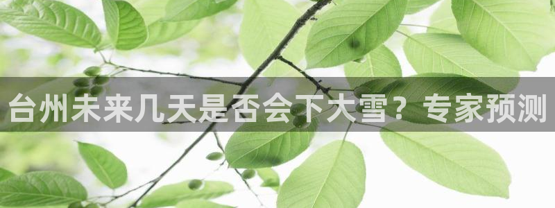 深圳市聚彩科技有限公司