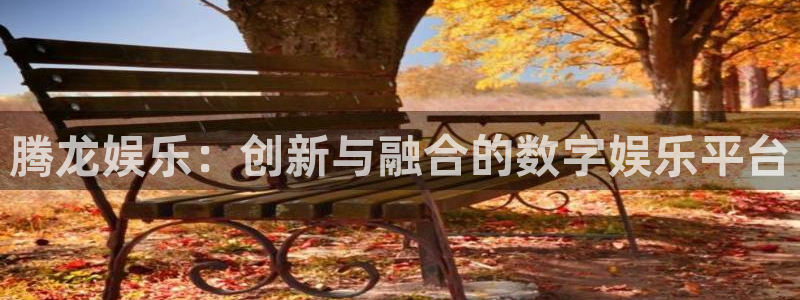飞星聚彩