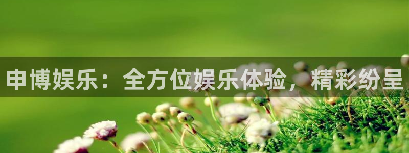 飞星聚彩