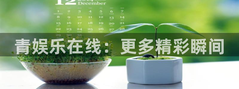 聚彩堂0149955开奖结果