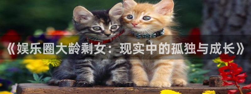 聚彩传媒