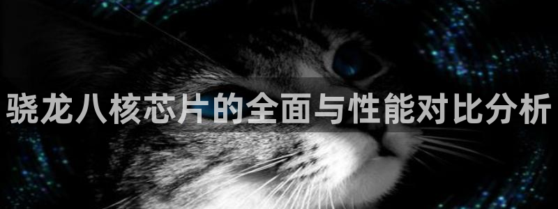 聚彩注册大厅官网