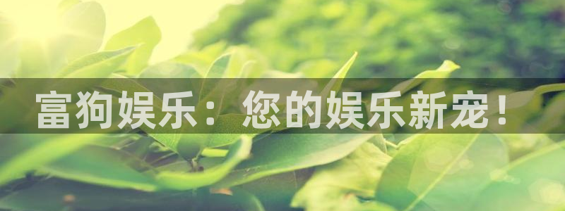 聚彩官方网app官方正版