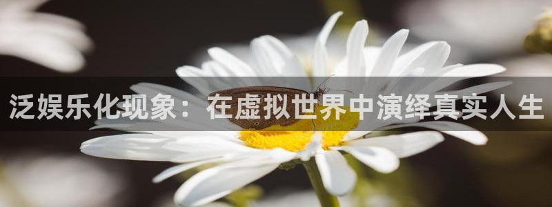 聚彩印务