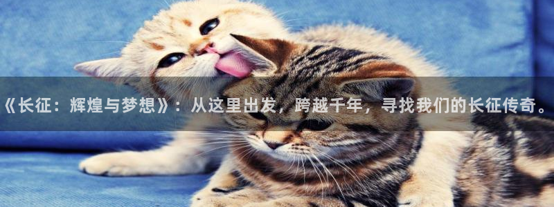 聚彩welcome大厅购彩官网