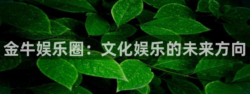 精聚彩研画材有限公司