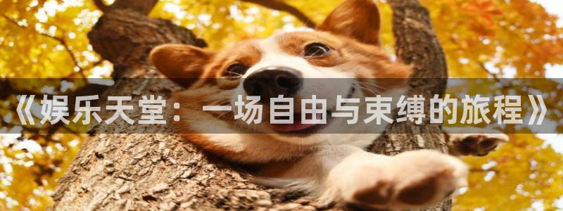 聚彩大发快三welcome登录入口