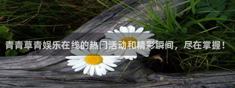 聚彩app：青青草青娱乐在线的热门活动和精彩瞬间，尽在掌握！